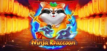 Ninja Raccoon