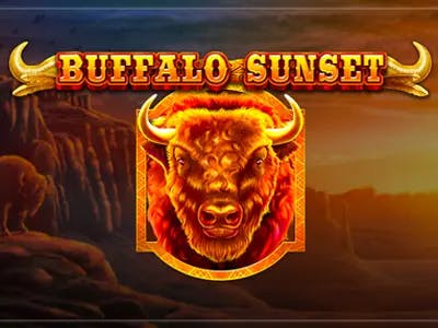 Buffalo Sunset