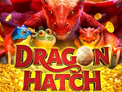 Dragon Hatch