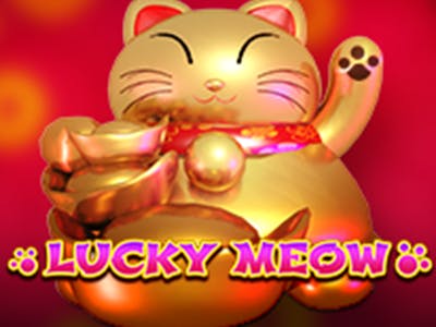 Lucky Meow